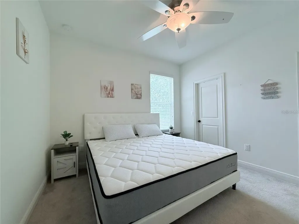 6456 Doe Path Court Wesley Chapel FL 33545