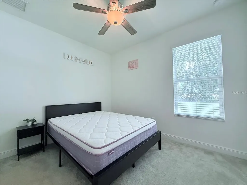 6456 Doe Path Court Wesley Chapel FL 33545