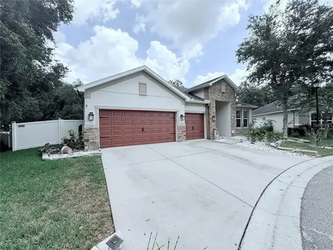 6456 Doe Path Court Wesley Chapel FL 33545