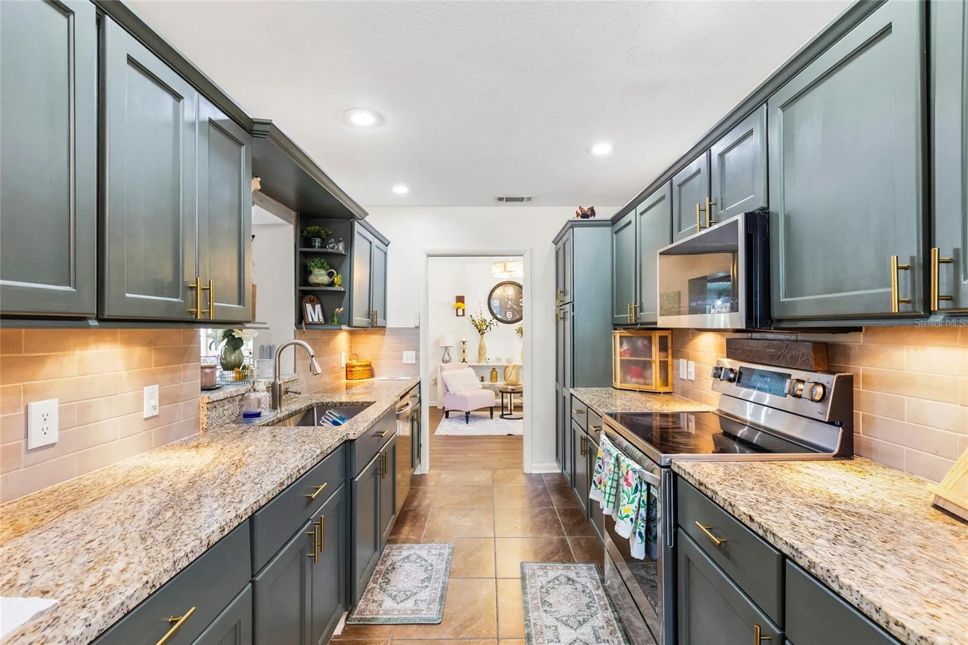 1103 Ridgefield Drive Valrico FL 33594