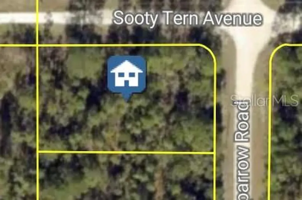 Sooty Tern Avenue Weeki Wachee FL 34614