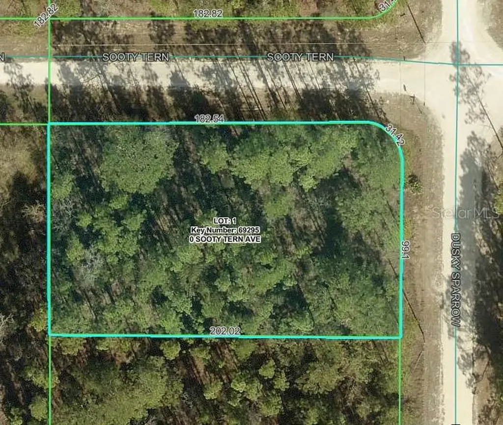 Sooty Tern Avenue Weeki Wachee FL 34614