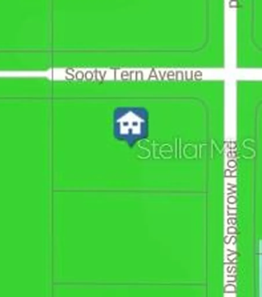Sooty Tern Avenue Weeki Wachee FL 34614