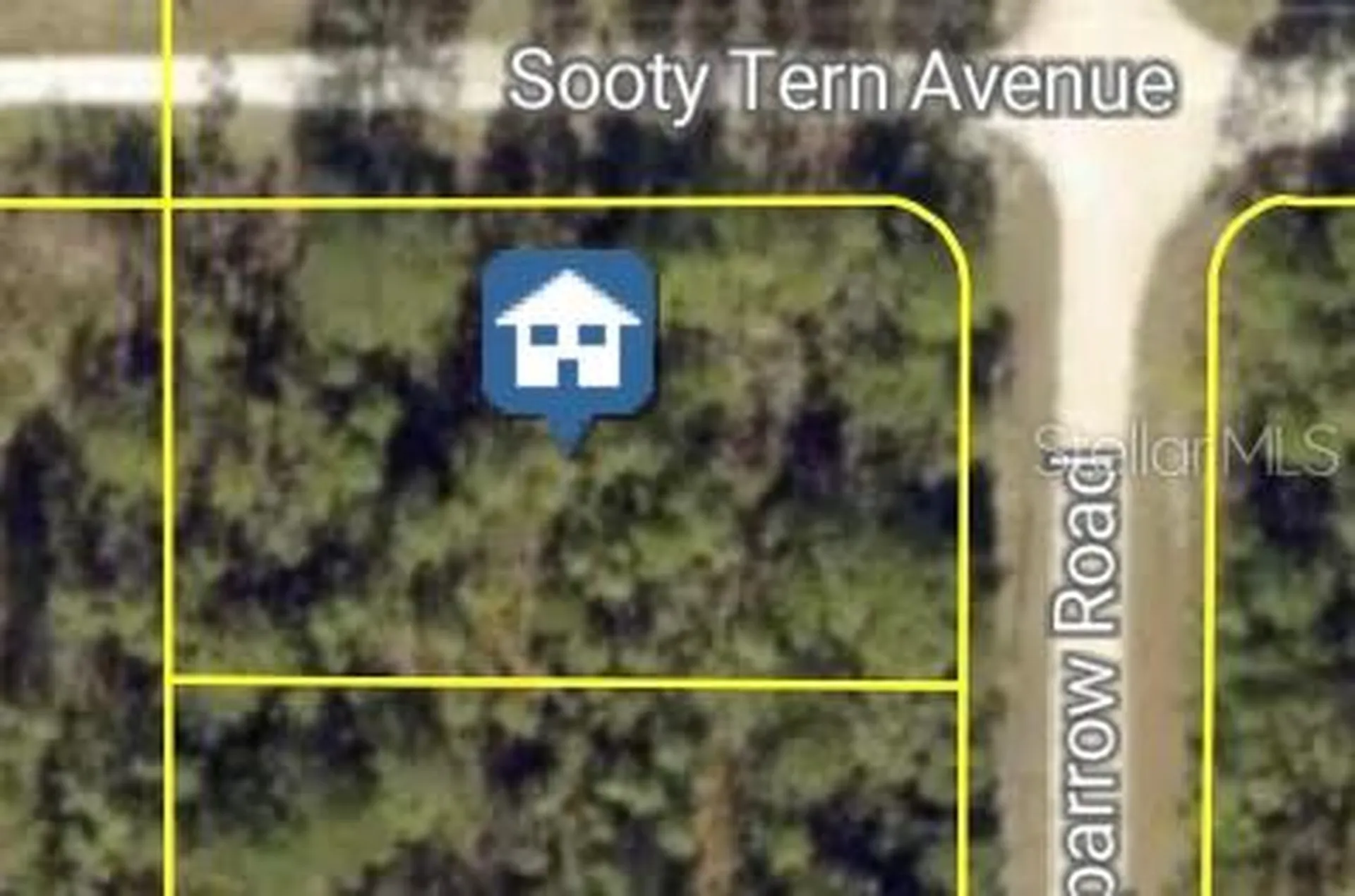 Sooty Tern Avenue Weeki Wachee FL 34614