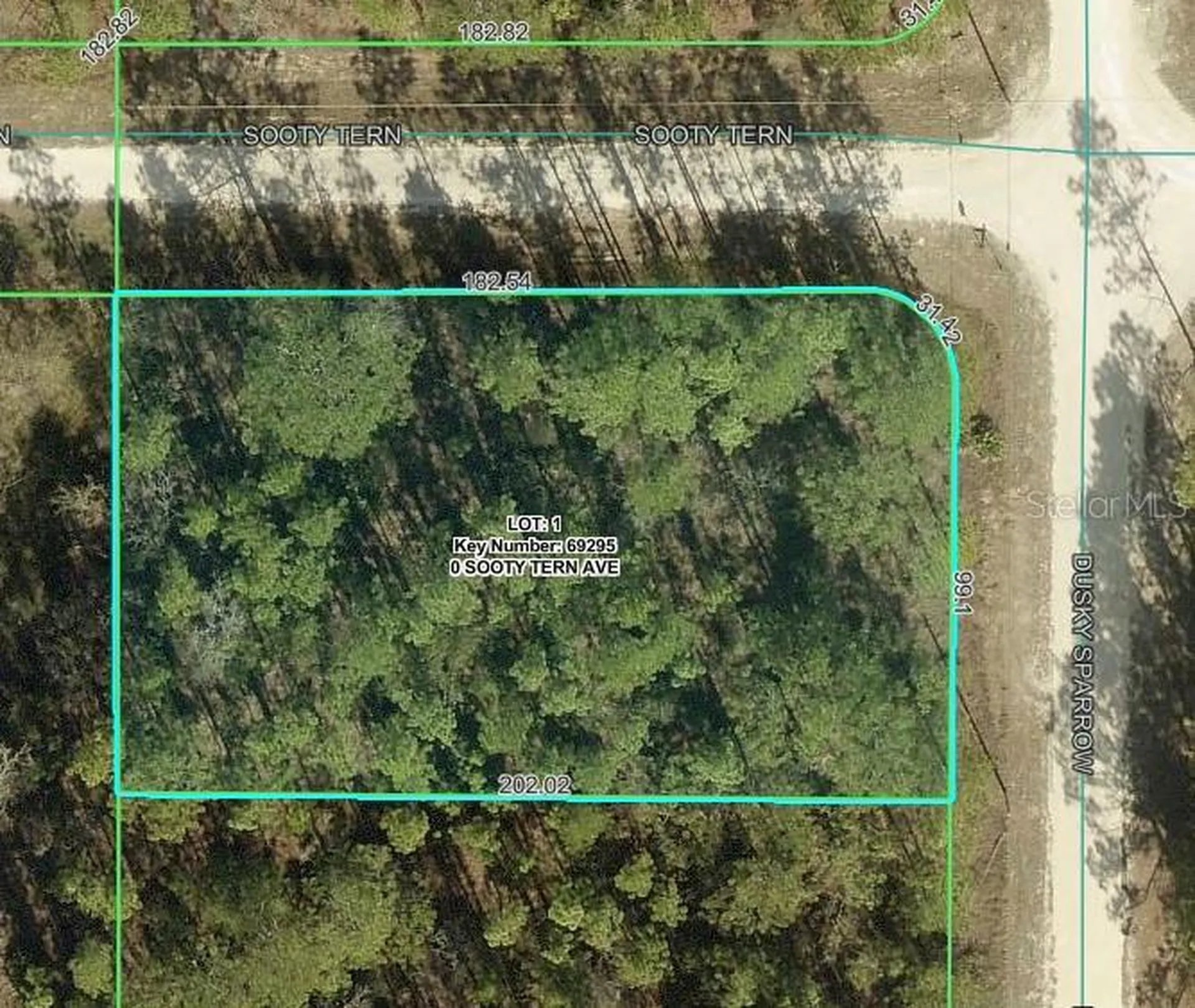 Sooty Tern Avenue Weeki Wachee FL 34614