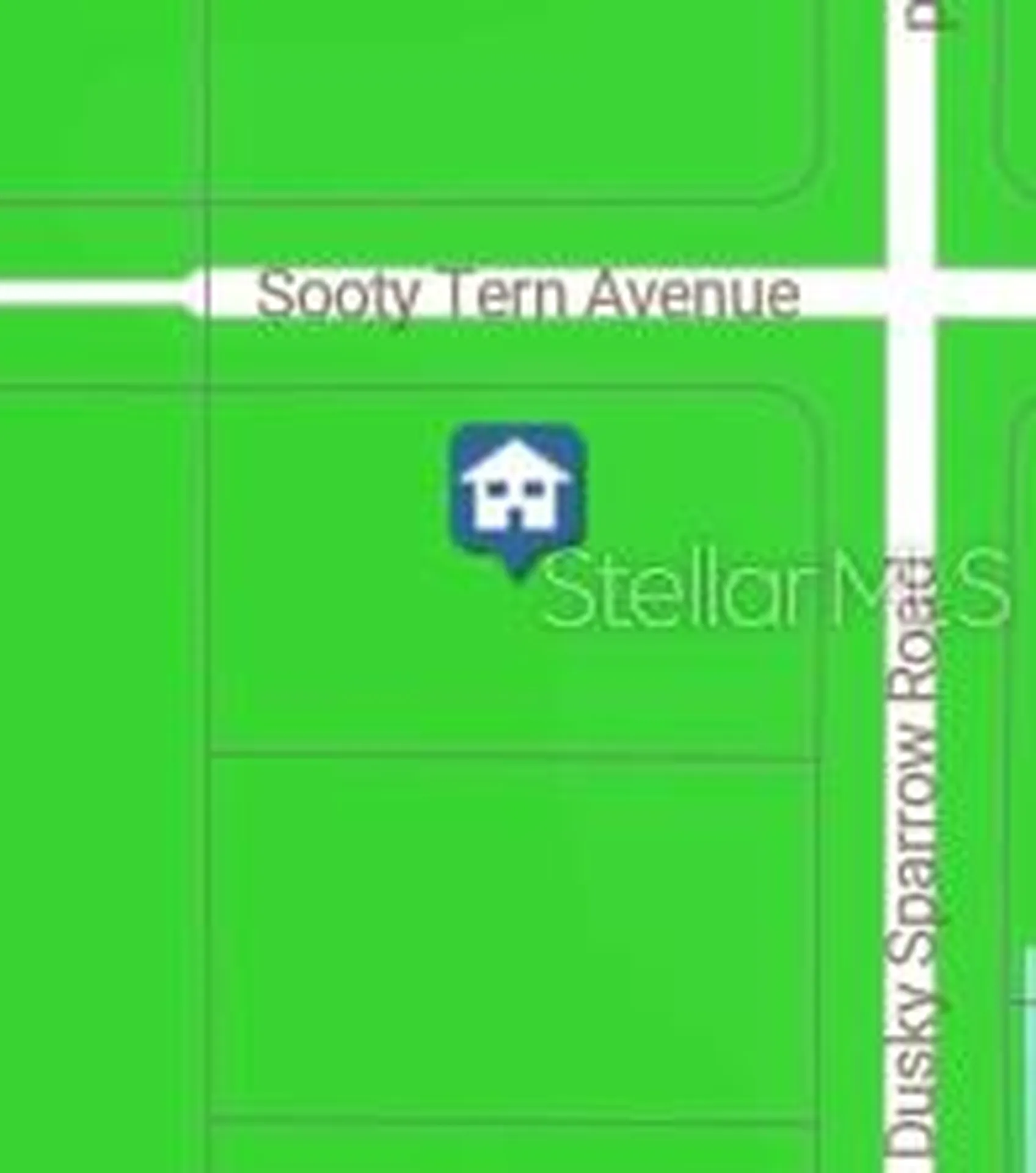 Sooty Tern Avenue Weeki Wachee FL 34614