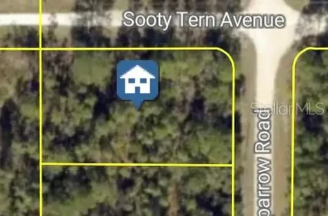 Sooty Tern Avenue Weeki Wachee FL 34614