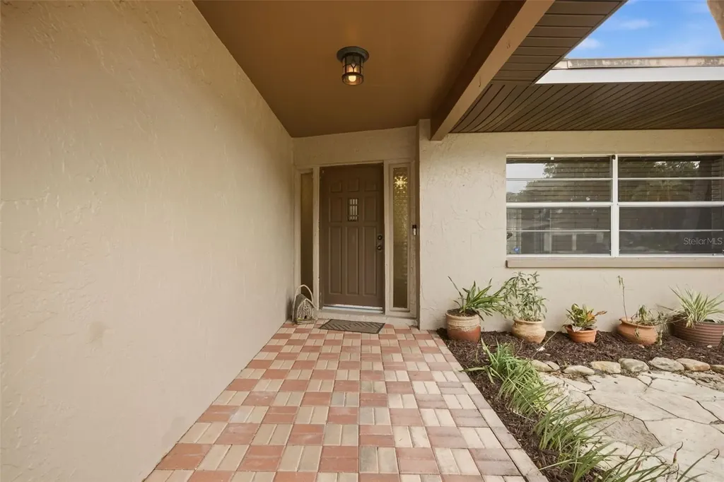 1901 Briarwood Street Dunedin FL 34698