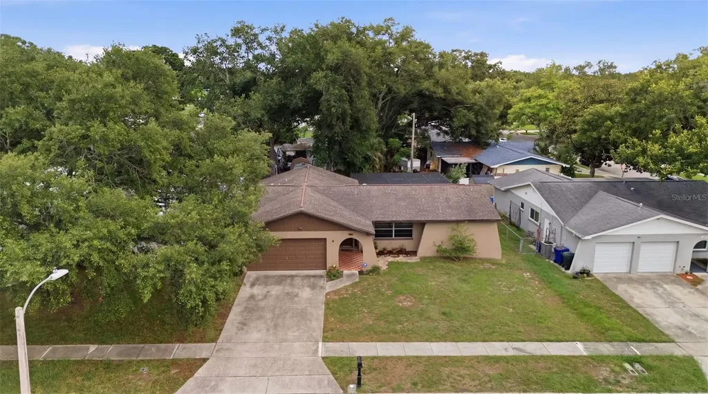 1901 Briarwood Street Dunedin FL 34698