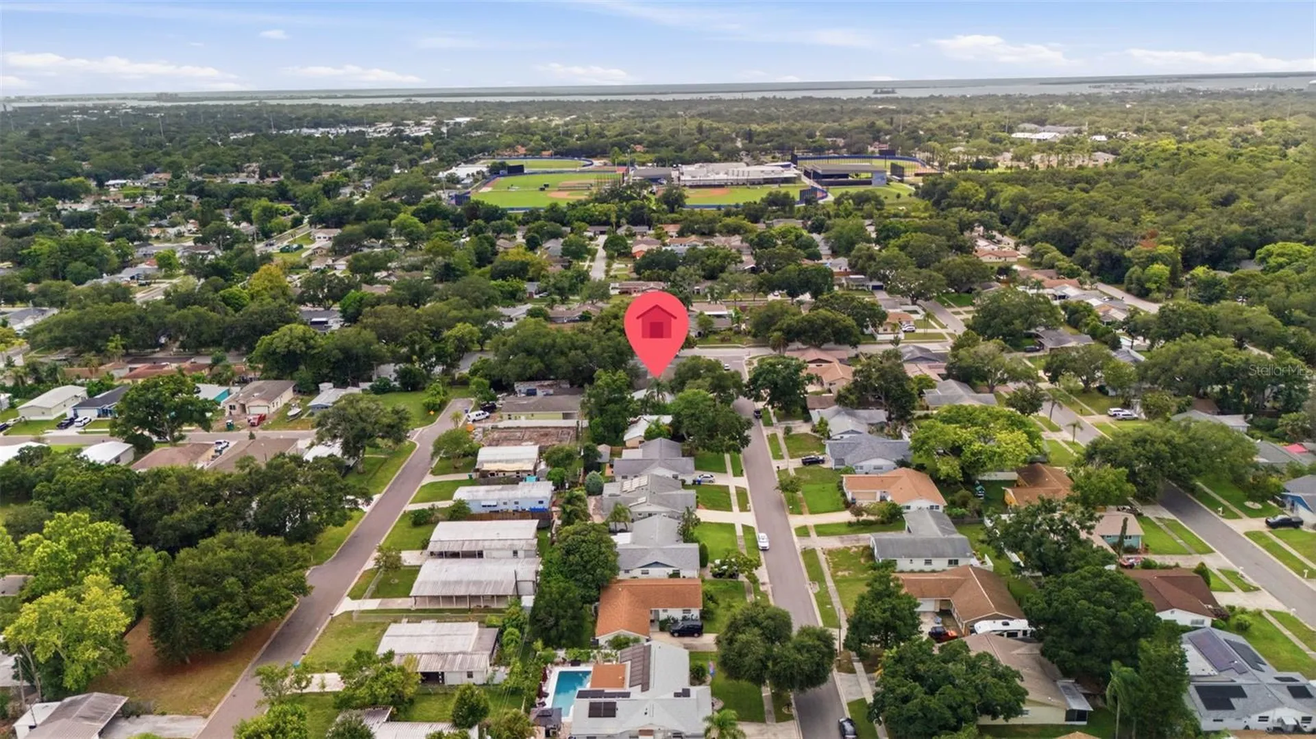 1901 Briarwood Street Dunedin FL 34698