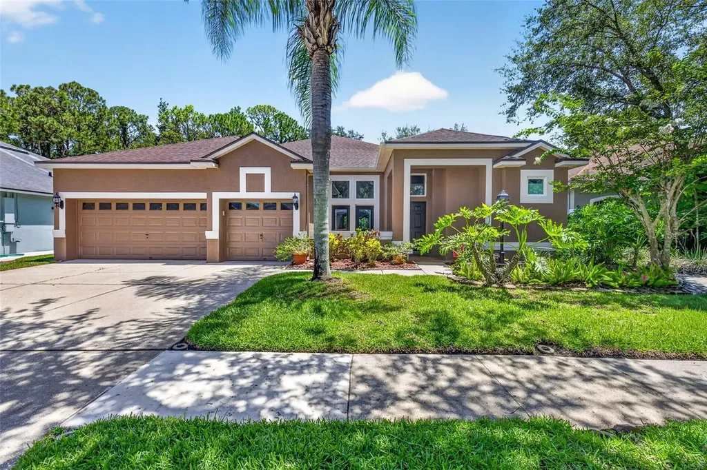 10737 Ayrshire Drive Tampa FL 33626