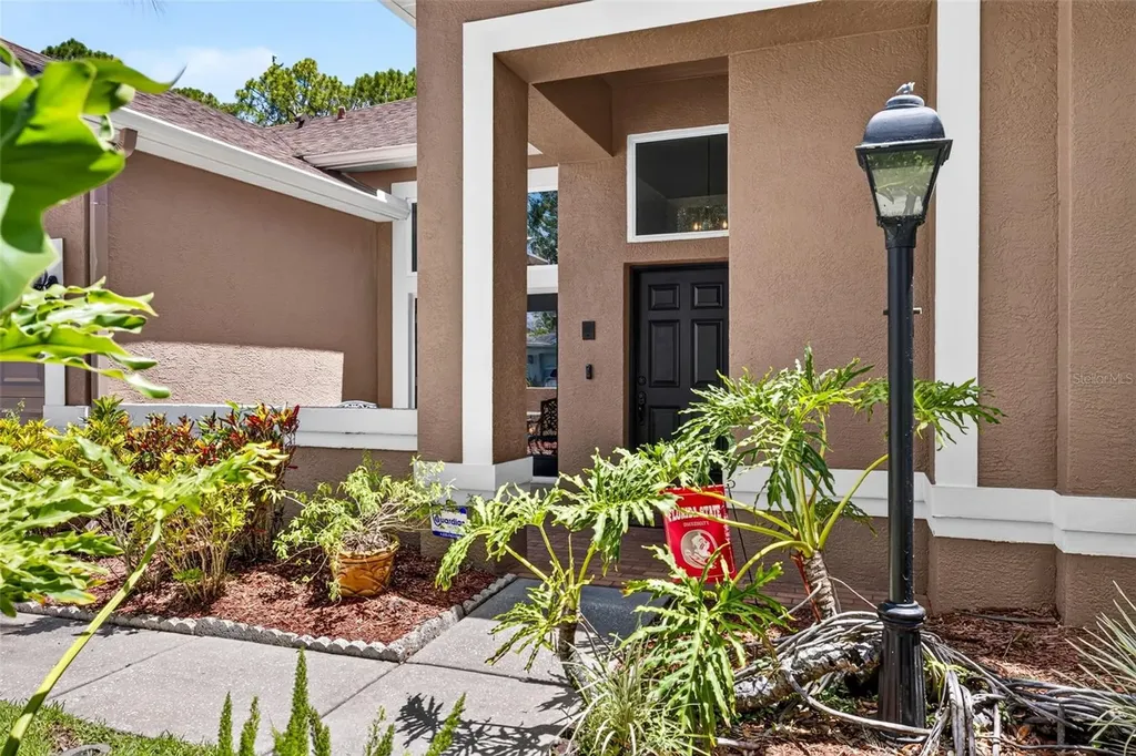 10737 Ayrshire Drive Tampa FL 33626