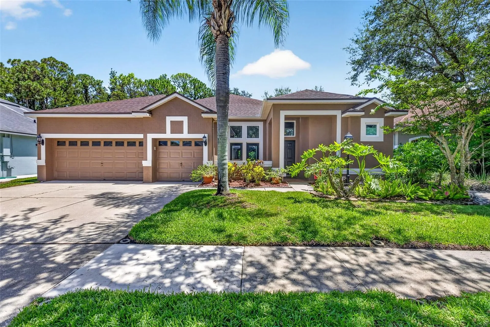10737 Ayrshire Drive Tampa FL 33626