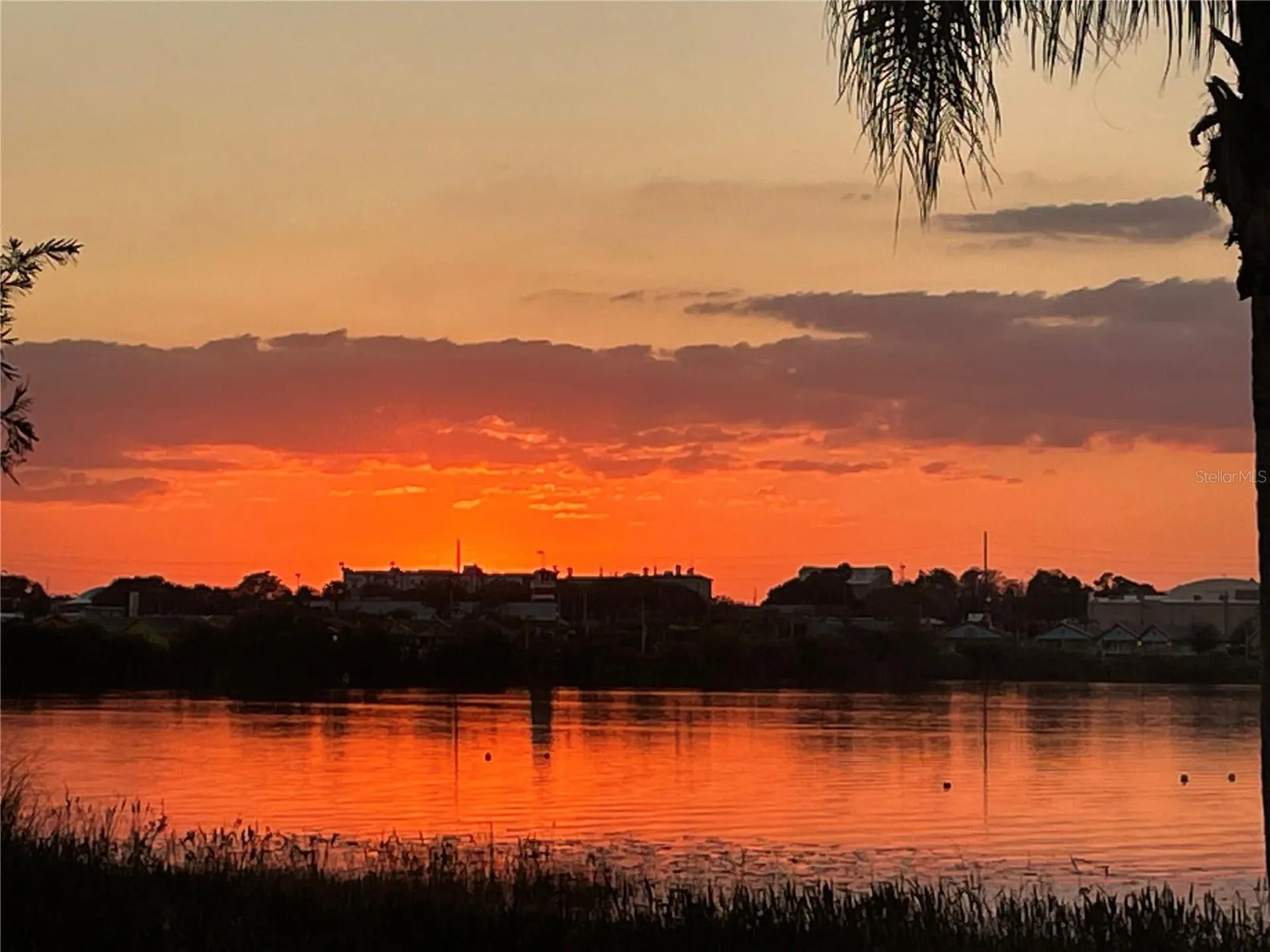 687 Lake Dexter Circle Winter Haven FL 33884