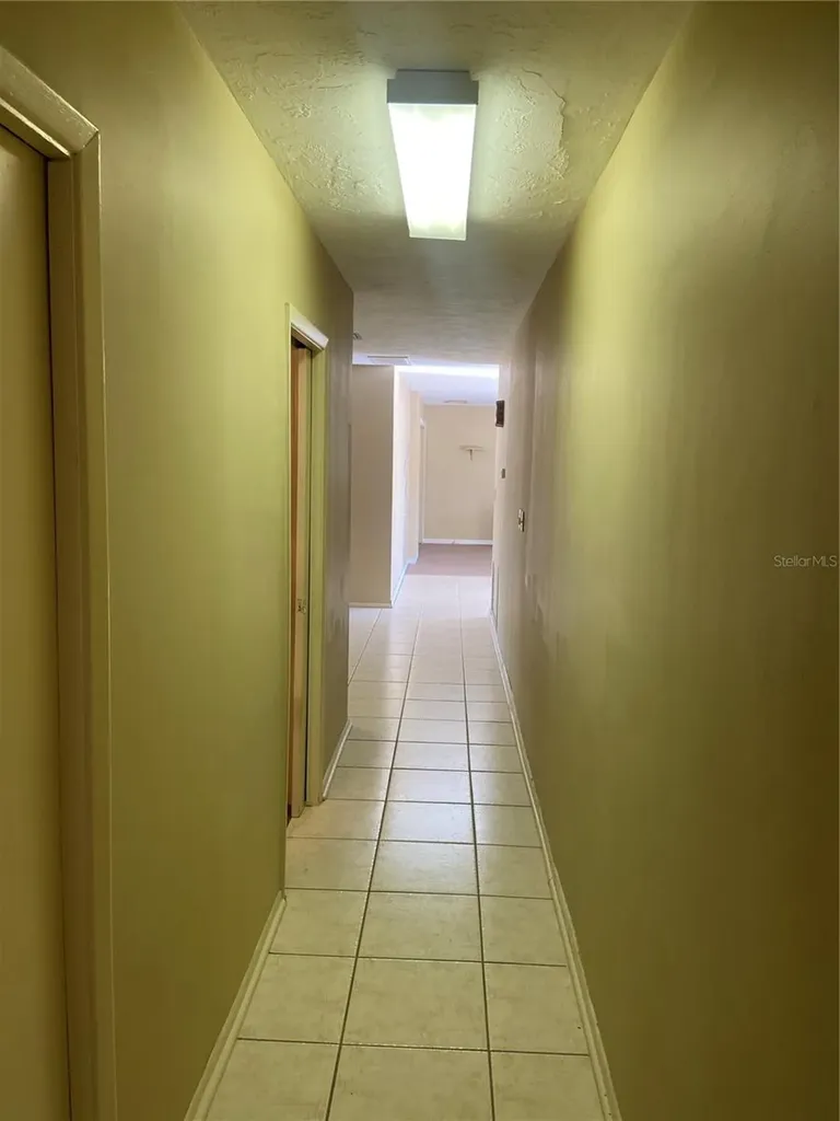 14103 Black Lake Road Odessa FL 33556