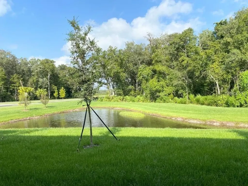 17478 Nectar Flume Drive Land O Lakes FL 34638