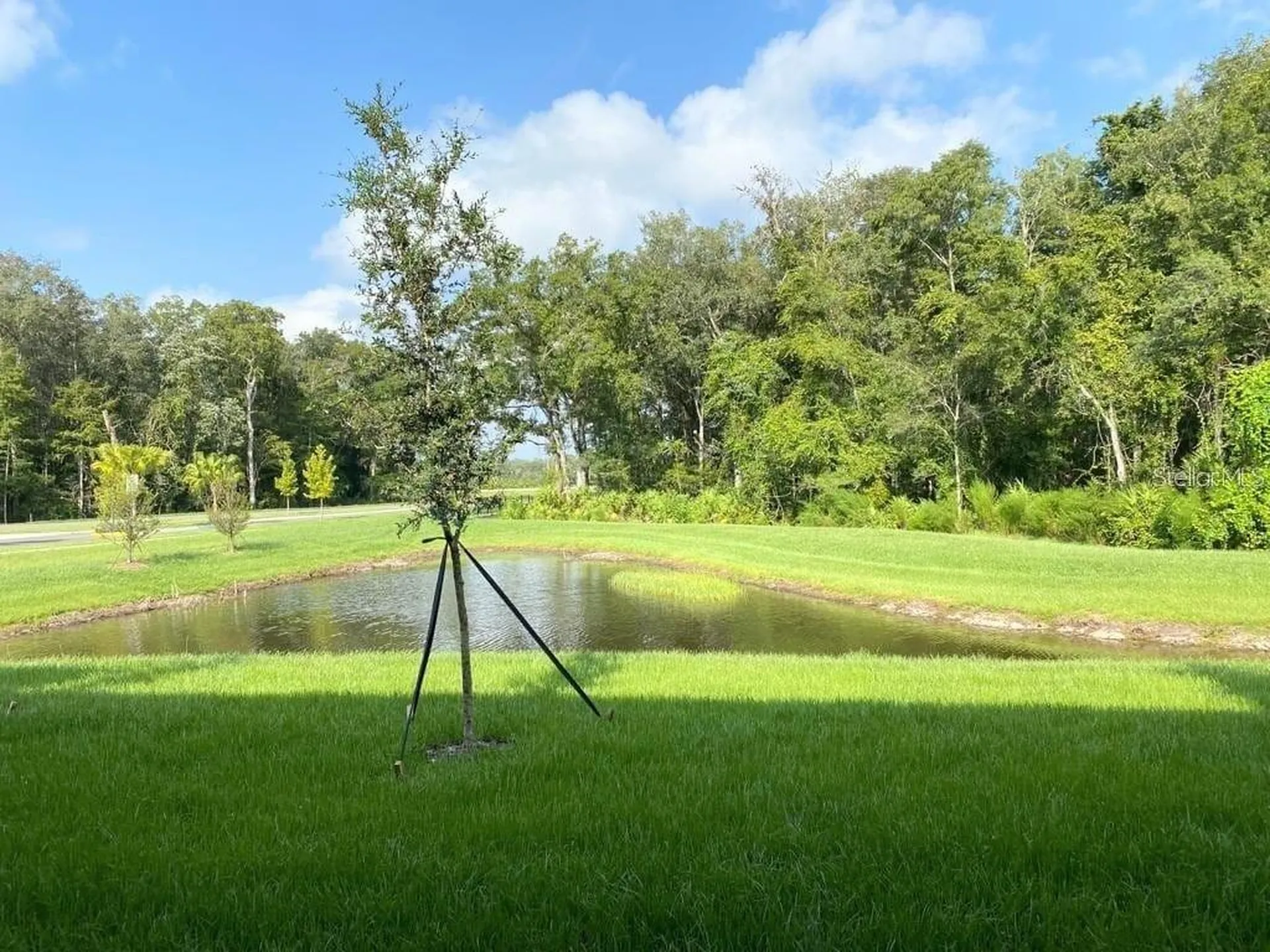 17478 Nectar Flume Drive Land O Lakes FL 34638