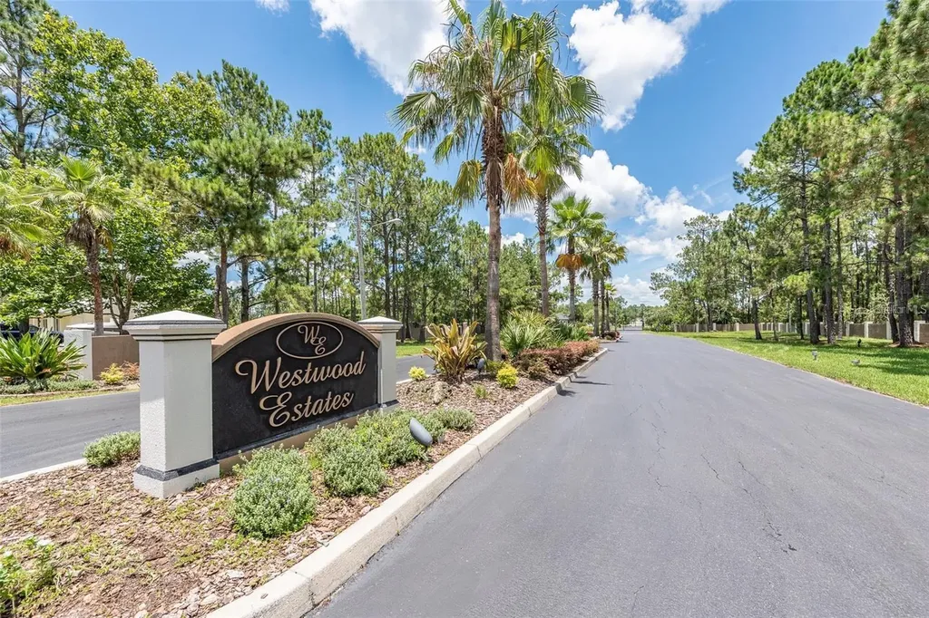 8616 Spring Forest Lane Wesley Chapel FL 33544