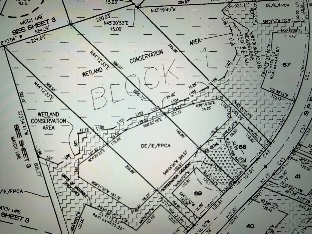 8616 Spring Forest Lane Wesley Chapel FL 33544