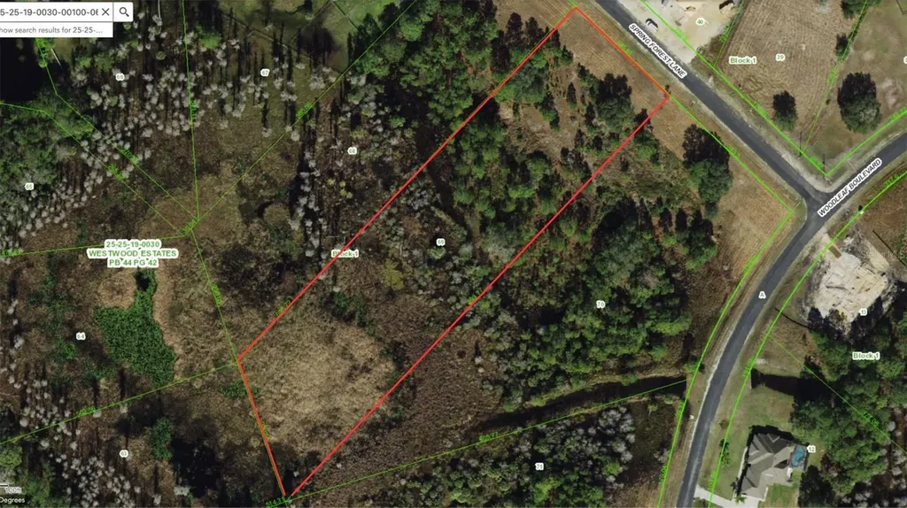 8616 Spring Forest Lane Wesley Chapel FL 33544