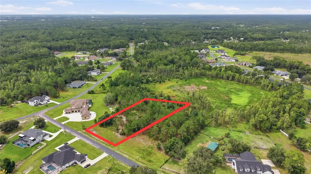 8616 Spring Forest Lane Wesley Chapel FL 33544