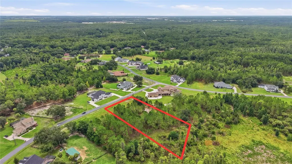 8616 Spring Forest Lane Wesley Chapel FL 33544