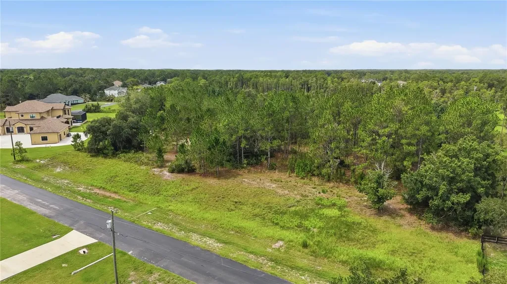 8616 Spring Forest Lane Wesley Chapel FL 33544