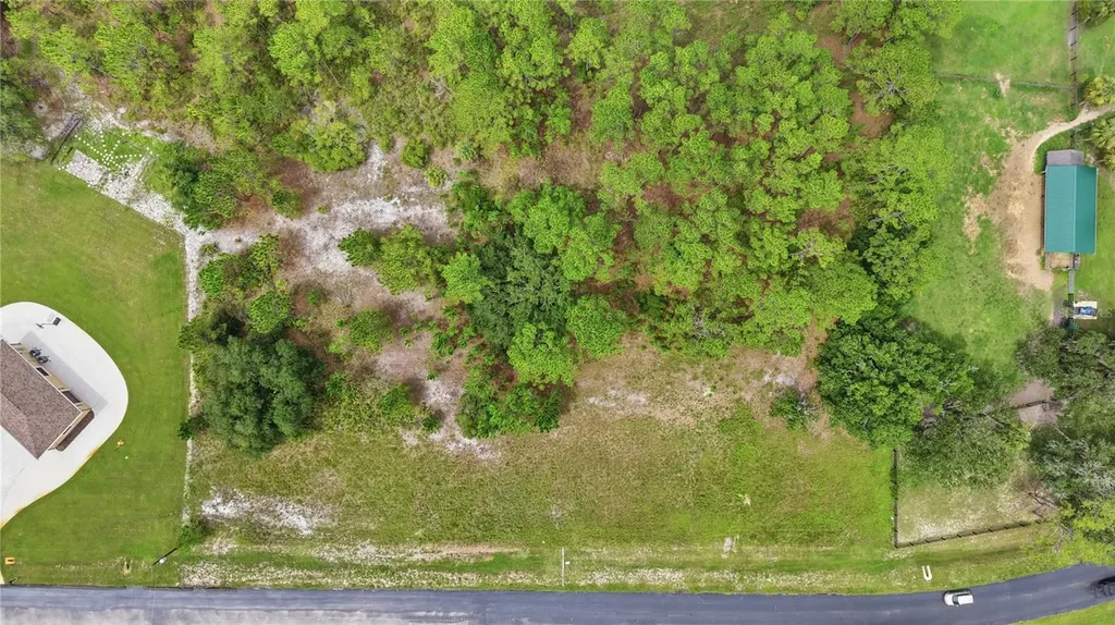 8616 Spring Forest Lane Wesley Chapel FL 33544