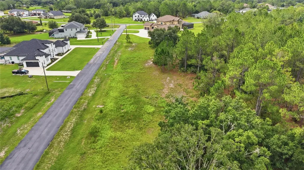 8616 Spring Forest Lane Wesley Chapel FL 33544