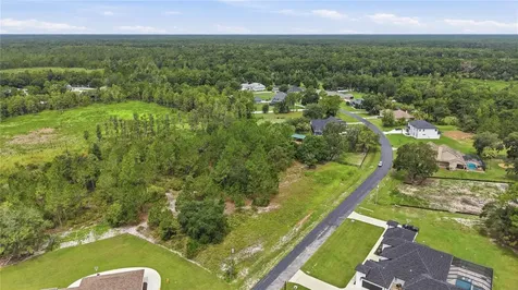 8616 Spring Forest Lane Wesley Chapel FL 33544