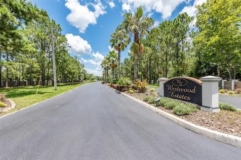 8616 Spring Forest Lane Wesley Chapel FL 33544
