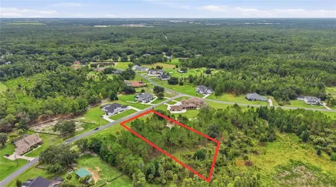 8616 Spring Forest Lane Wesley Chapel FL 33544