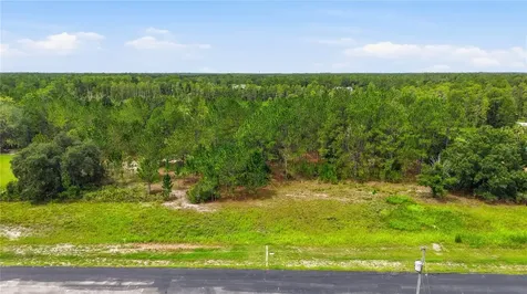 8616 Spring Forest Lane Wesley Chapel FL 33544