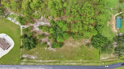8616 Spring Forest Lane Wesley Chapel FL 33544