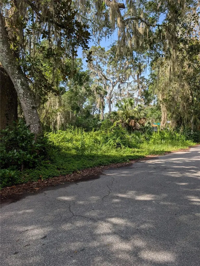 6650 N Beechnut Loop Hernando FL 34442