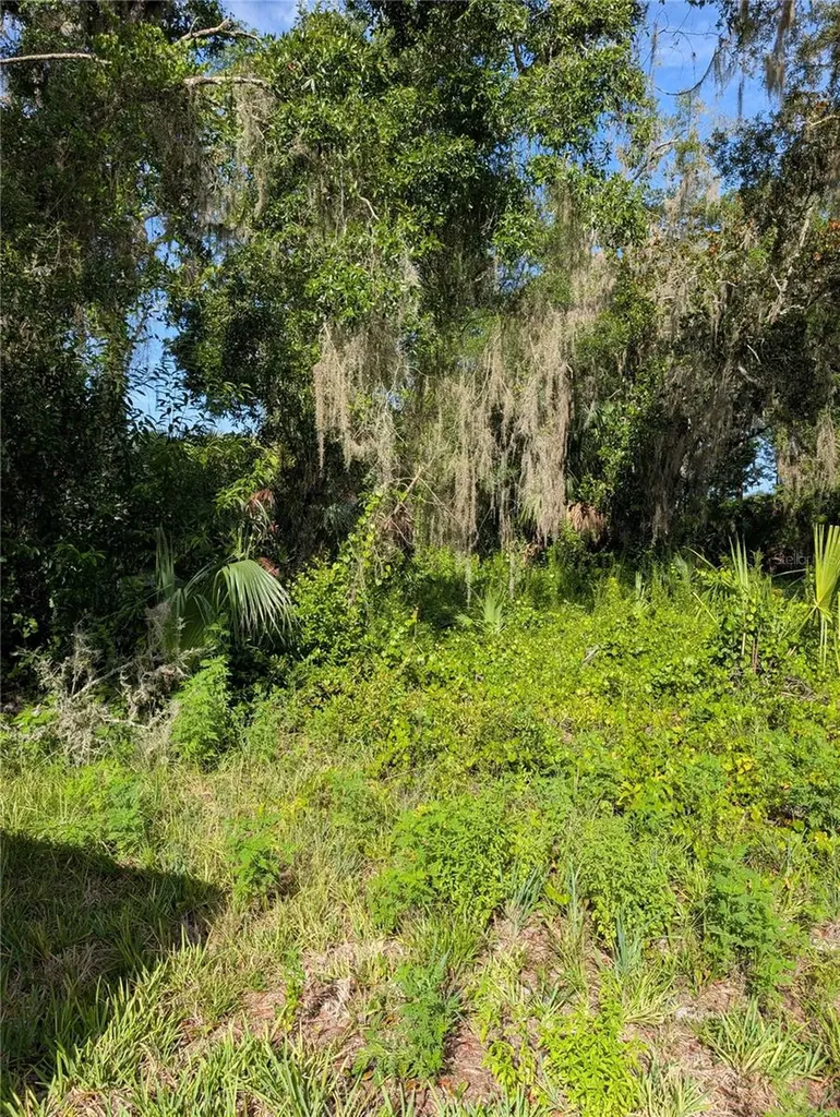6650 N Beechnut Loop Hernando FL 34442