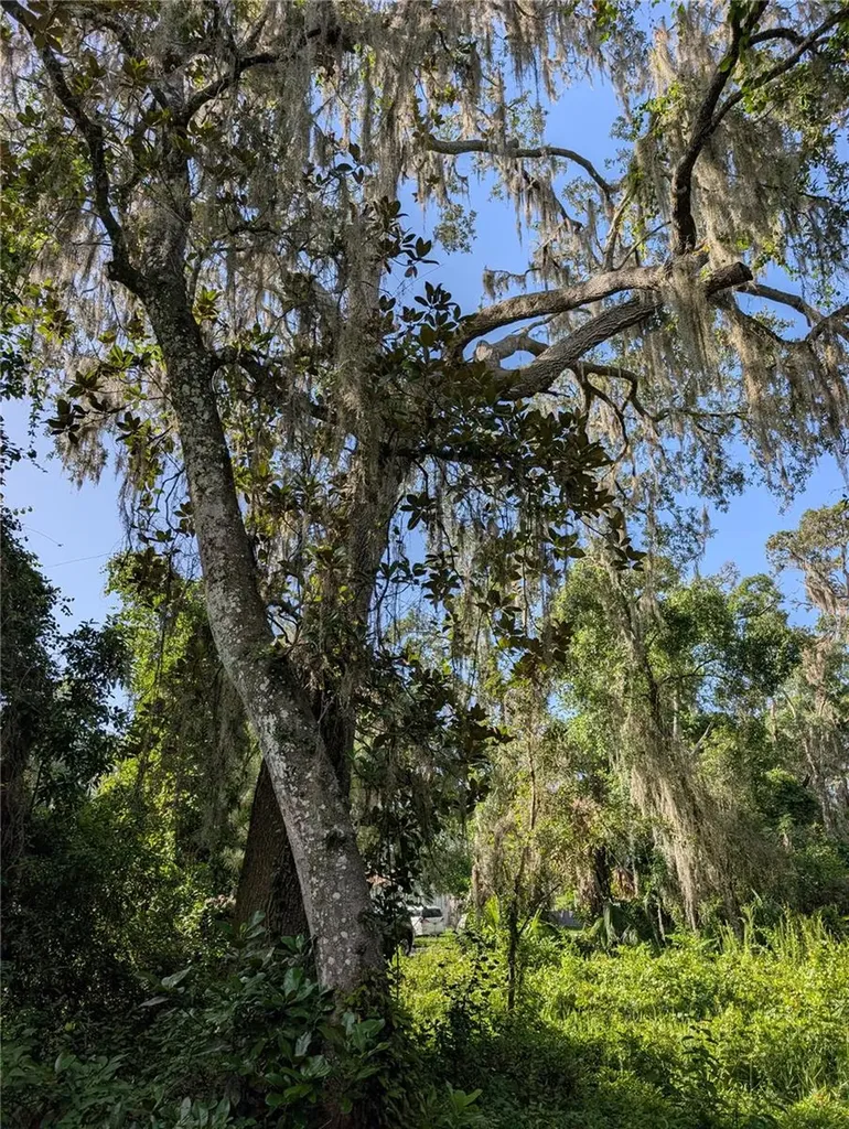 6650 N Beechnut Loop Hernando FL 34442