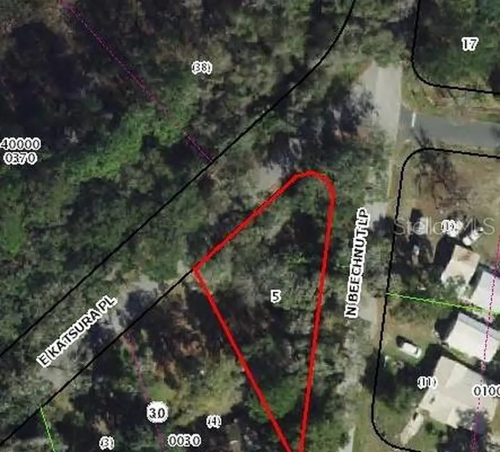 6650 N Beechnut Loop Hernando FL 34442