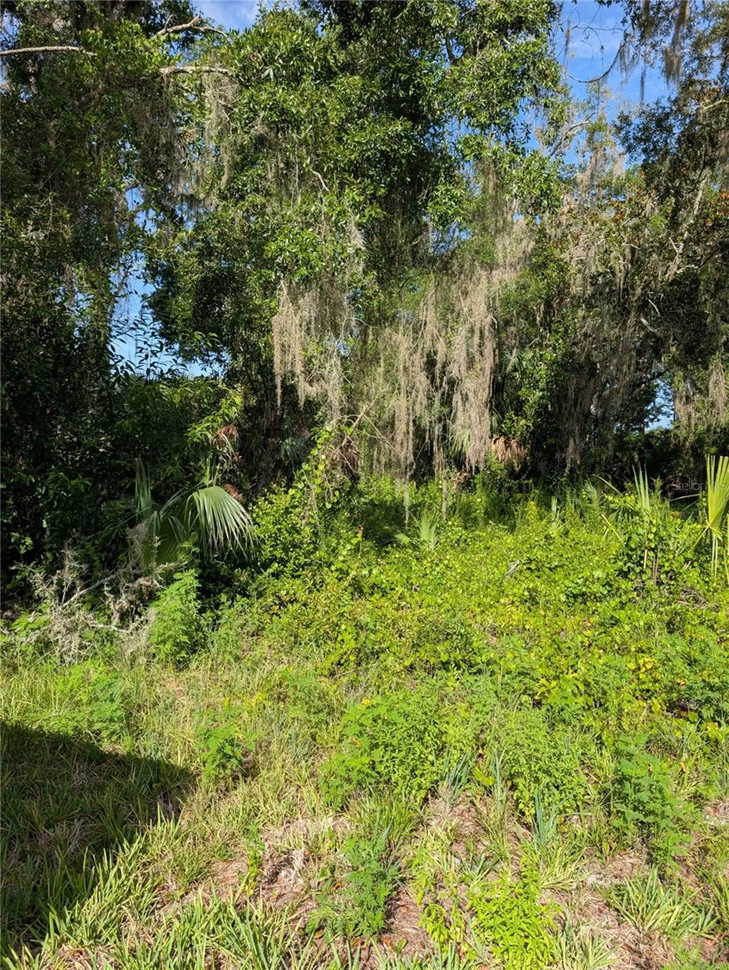 6650 N Beechnut Loop Hernando FL 34442