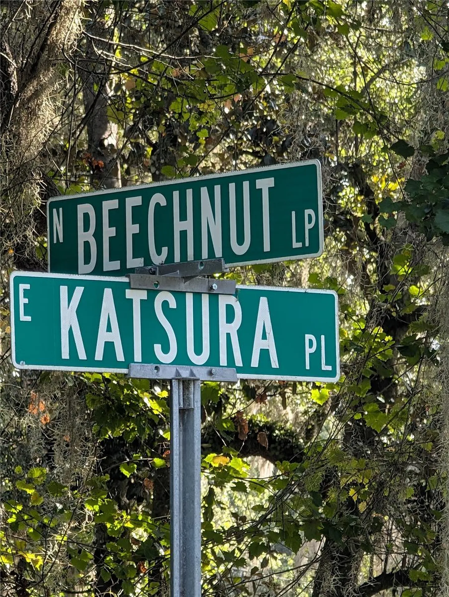 6650 N Beechnut Loop Hernando FL 34442