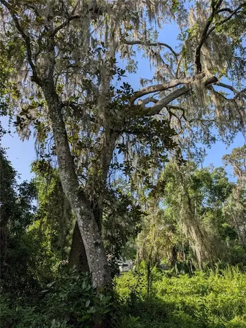 6650 N Beechnut Loop Hernando FL 34442