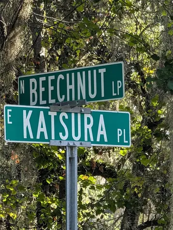 6650 N Beechnut Loop Hernando FL 34442