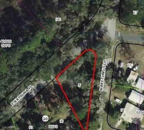 6650 N Beechnut Loop Hernando FL 34442