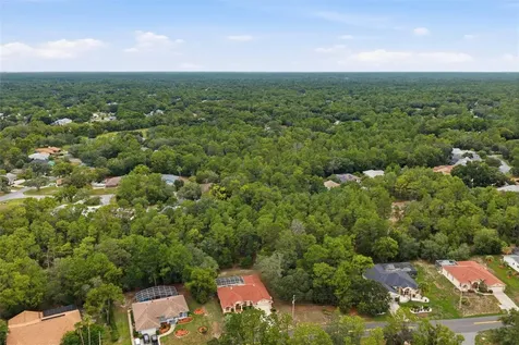 184 Pine Street Homosassa FL 34446