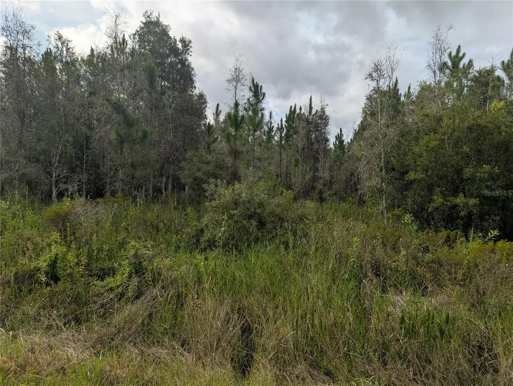 Meadowlark Boulevard Indian Lake Estates FL 33855