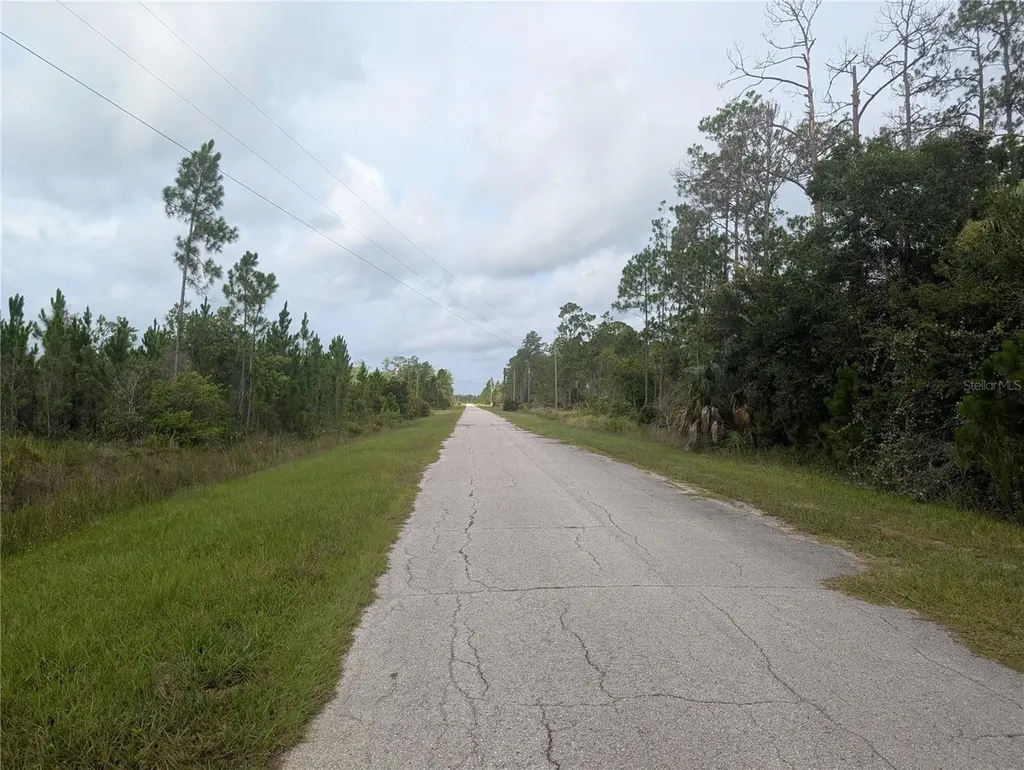 Meadowlark Boulevard Indian Lake Estates FL 33855