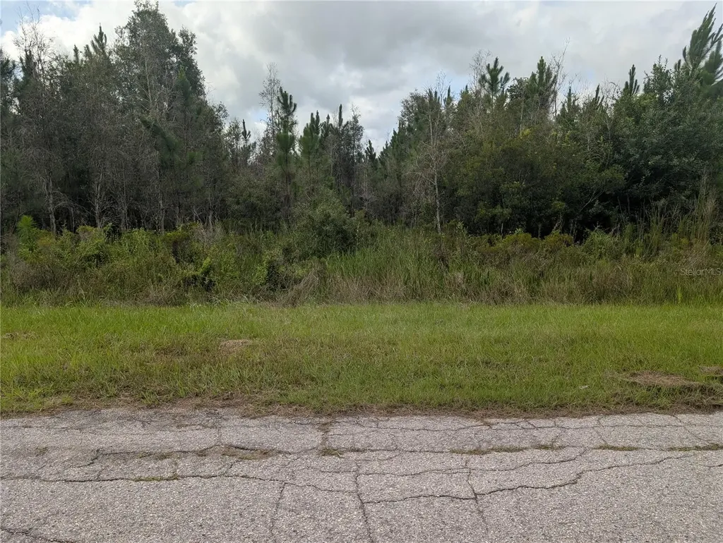 Meadowlark Boulevard Indian Lake Estates FL 33855