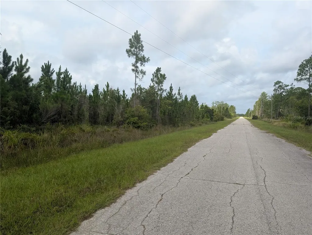 Meadowlark Boulevard Indian Lake Estates FL 33855