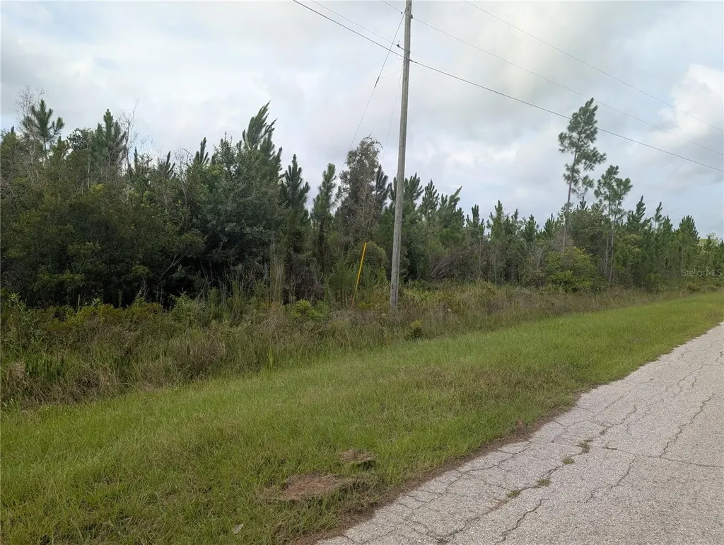 Meadowlark Boulevard Indian Lake Estates FL 33855