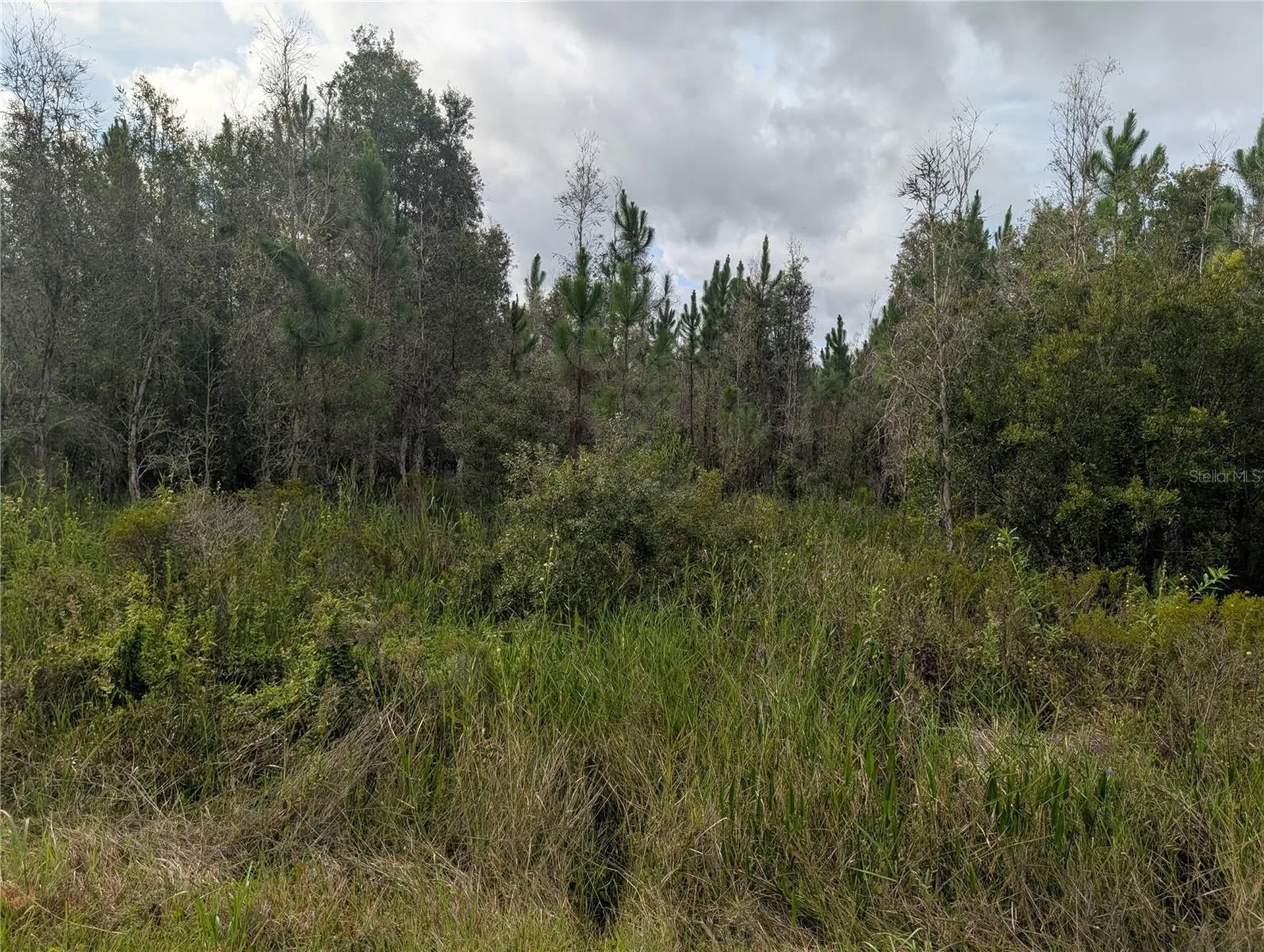 Meadowlark Boulevard Indian Lake Estates FL 33855